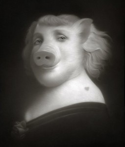 Travis Louie pig